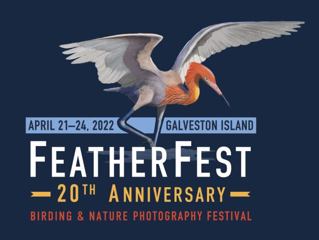 FeatherFest Galveston TX