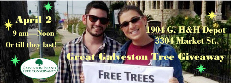 Galveston Island Tree Conservancy Spring Giveaway