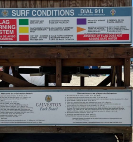 Galveston Beach Flag Warning